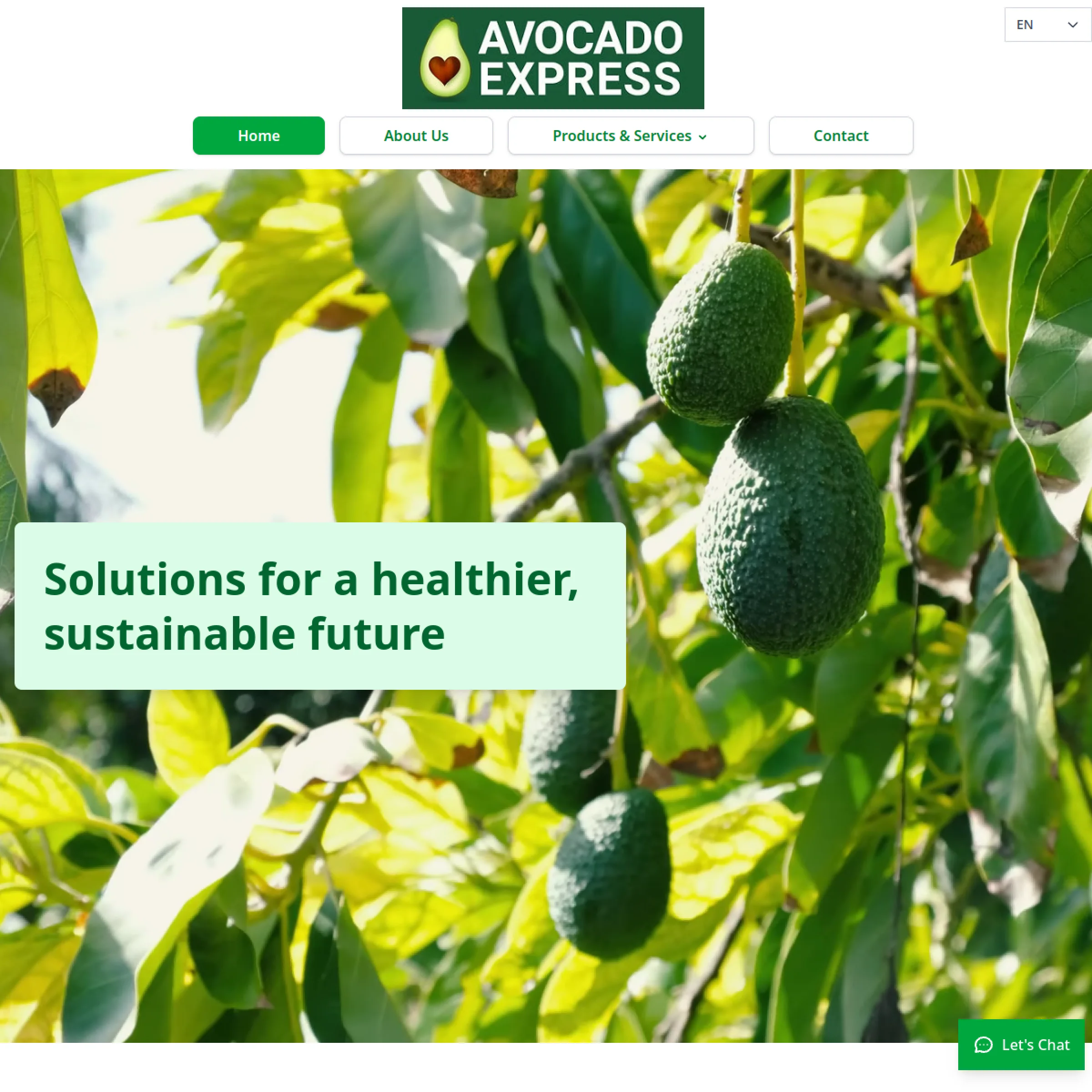 Avocado Express Web Platform live website